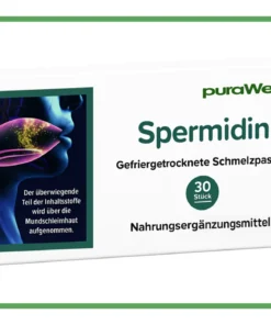 Spermidine Cellular Renewal from Within